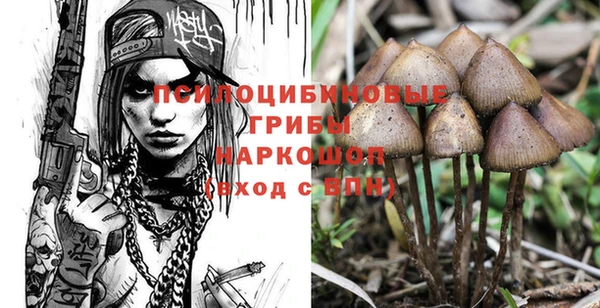каннабис Ельня