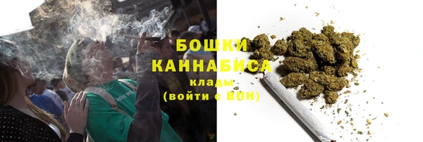 молекула духа Елабуга