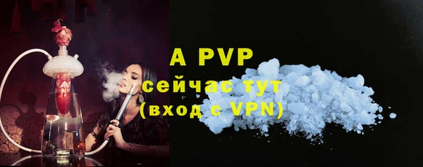 молекула духа Елабуга