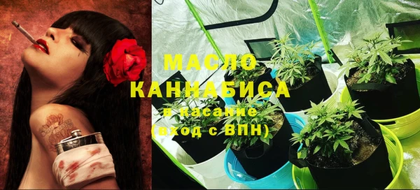 молекула духа Елабуга