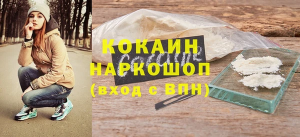 молекула духа Елабуга