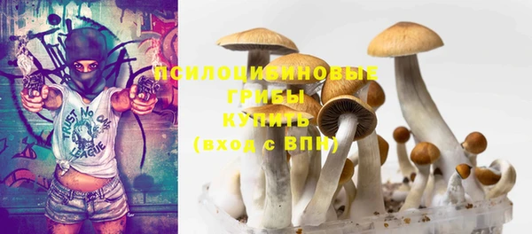 каннабис Ельня