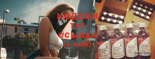 молекула духа Елабуга