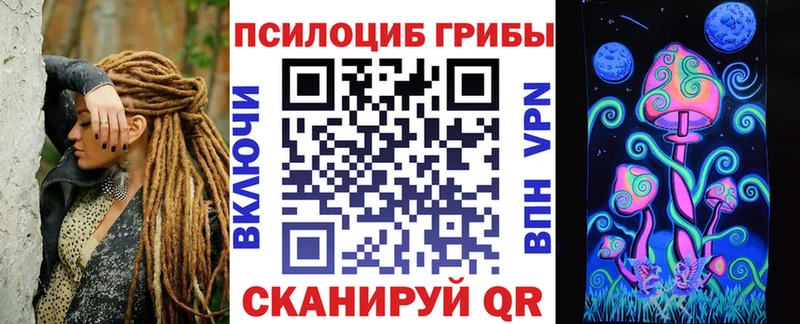 Псилоцибиновые грибы прущие грибы  Купить  Сибай 